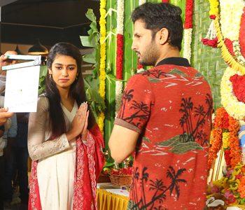Priya Prakash Varrier to romance Nithiin Reddy