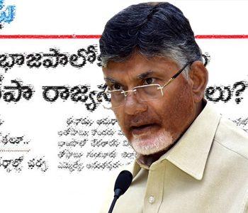 Pro-TDP Media Rings Danger Bells to TDP