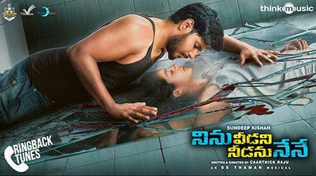 Ninu-Veedani-Needanu-Nene-Review