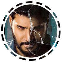 Ninu Veedani Needanu Nene Movie Review Ratings