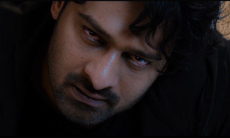 petition in high court on saaho mocie over ticket pricing