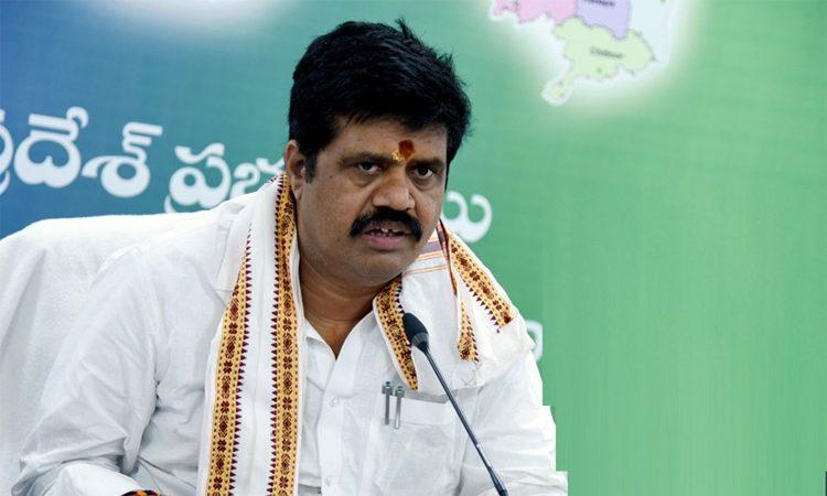 Avanthi Srinivasa Rao says 10 TDP MLA ready to join YSRCP