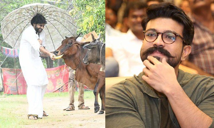 Ram Charan inspired by pawan kalyan cow farming