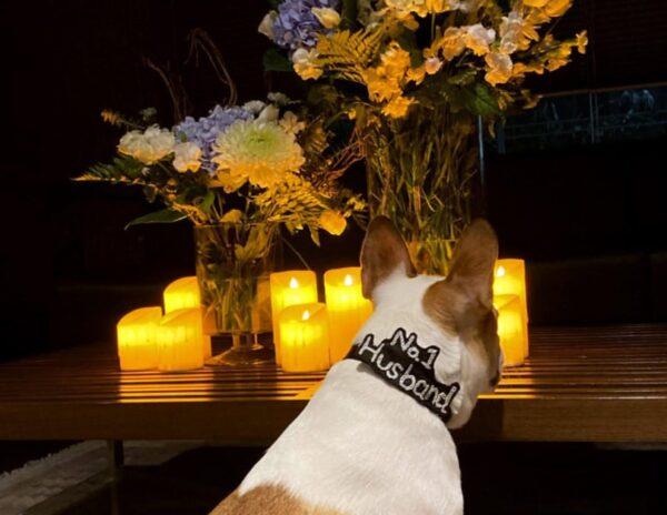 Samantha Akkineni -Dog-No1 Husband