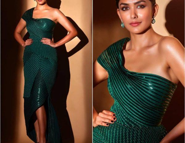 Jersey Director Got His Perfect Heroine - Mrunal Thakur