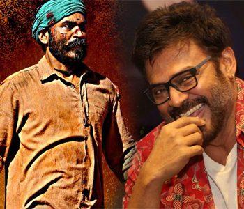 No Director to Take up Venky's Risky Project?
