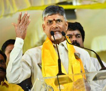Chandrababu Naidu Supports Pawan Kalyan