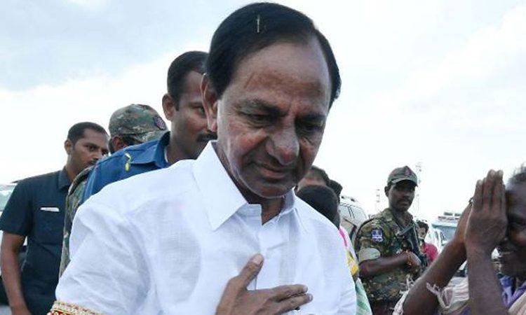 CR's Pet Dog Death Case is Closed