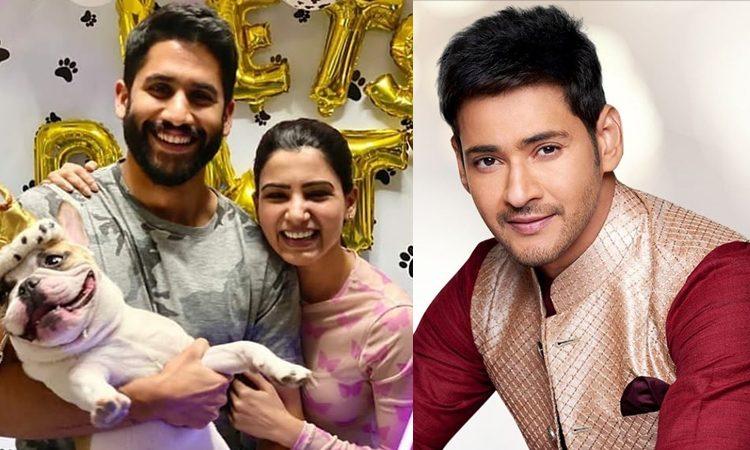 Mahesh Babu Inspires Naga Chaitanya -Samantha Akkineni?