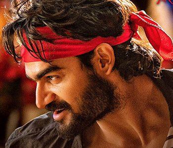 Small-Heroes-Turned-Kartikeya's-Social-Media--Warriors