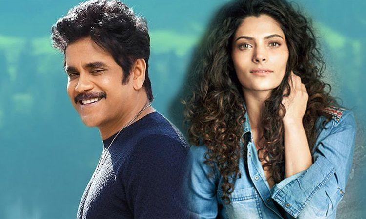 saiyami-kher-in-nagarjuna-akkineni-wild-dog