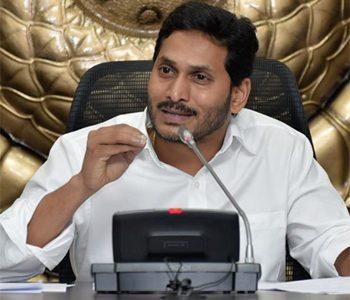 Andhra Pradesh Chief Minister Makes Paracetamol A Buzz Word