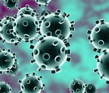 Andhra Pradesh Registers its First Coronavirus Case