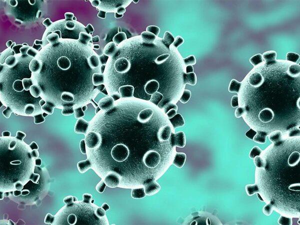 Andhra Pradesh Registers its First Coronavirus Case