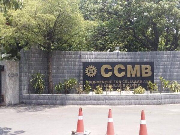 Hyderabad-Based CCMB to Bring Cost-Effective COVID-19 Testing Kits
