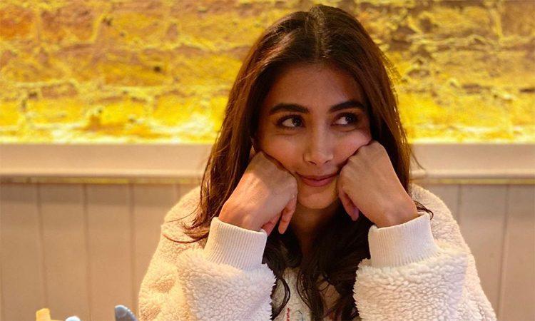 Is Pooja Hegde So Desperate?