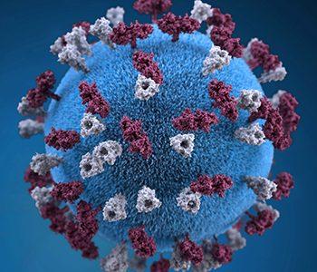 No Magic Drug Yet for Treating Coronavirus