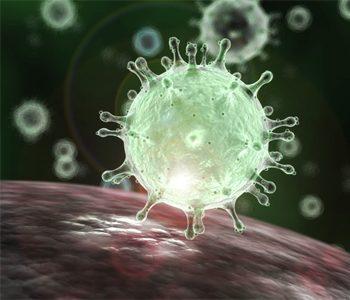 coronavirus vaccine will take at least 18 months