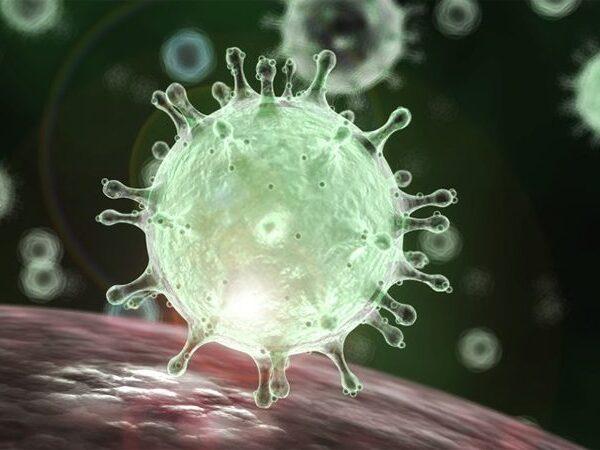coronavirus vaccine will take at least 18 months