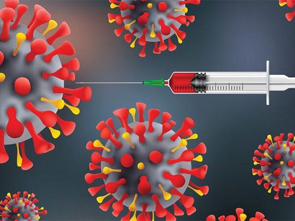 A-Vaccine-Used-in-India-since-1948-May-Help-Protect-from-COVID-19