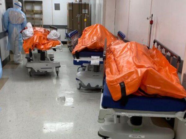 New York, Gory Images of Body Bags & Dying Patients