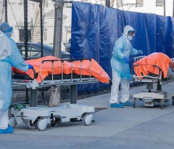 Temporary-Burials-of-Corona-Victims-in-New-York-Public--Parks