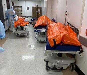 New York, Gory Images of Body Bags & Dying Patients