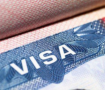 Will-President-Trump-Suspend--The-H-1B-Visas-Program