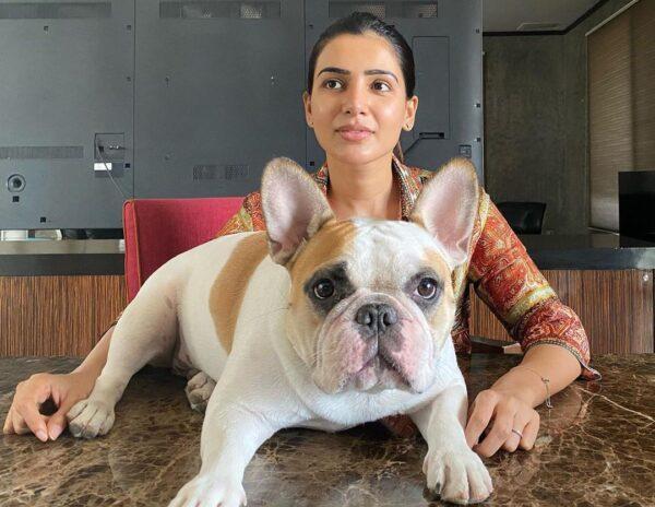 Samantha's-No-Filter-Puppy-Love
