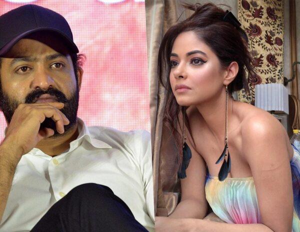 Meera Chopra Controversy: Is It Right To Blame Jr NTR?