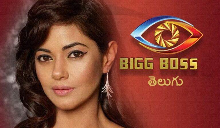 Jr NTR Meera Chopra Bigg Boss 4 Telugu