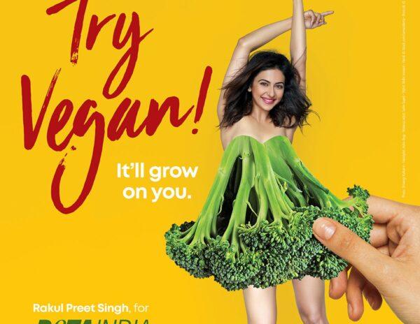 Rakul Preet Singh Try -Vegan
