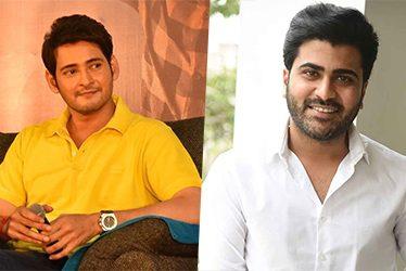 This-Young-Star-On-Mahesh-Babu-Radar-Next