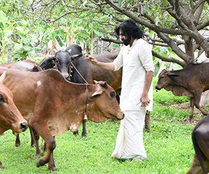 Pawan-Kalyan-Latest-Stills-From-Farm-House