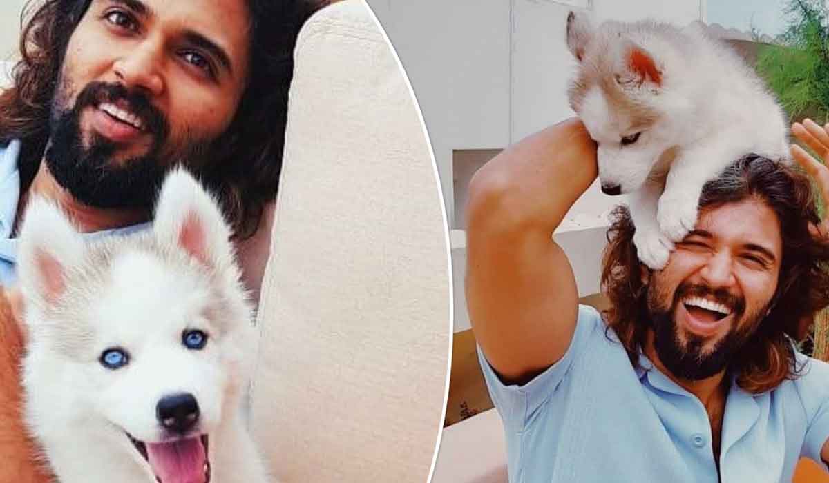 Vijay Deverakonda's Craze is Unfazed by Failures