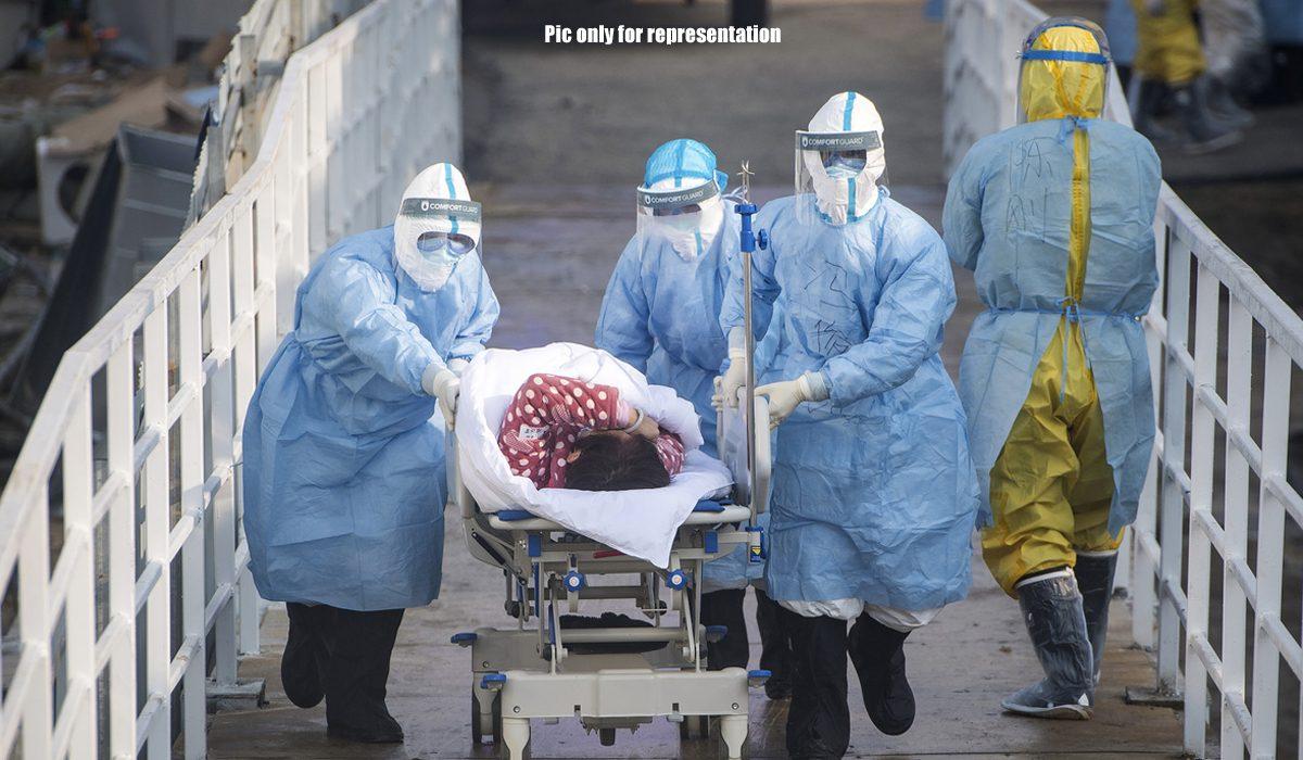 coronavirus cases in andhra pradesh