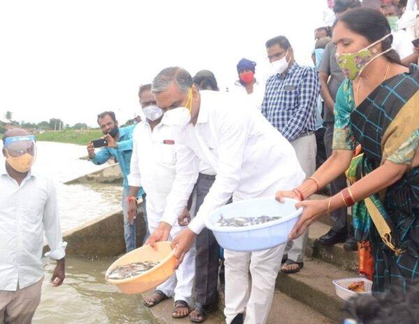 T Harish Rao
