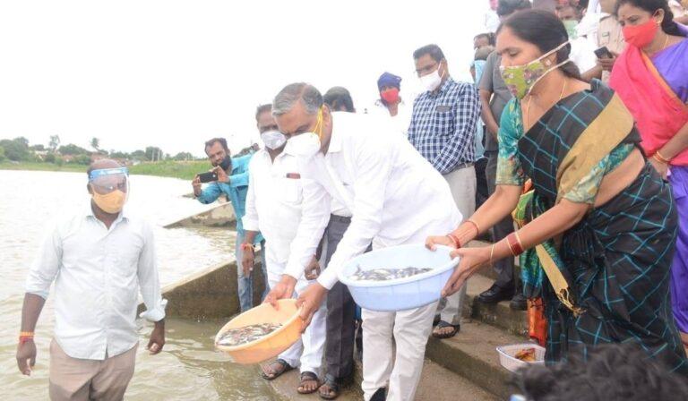 T Harish Rao