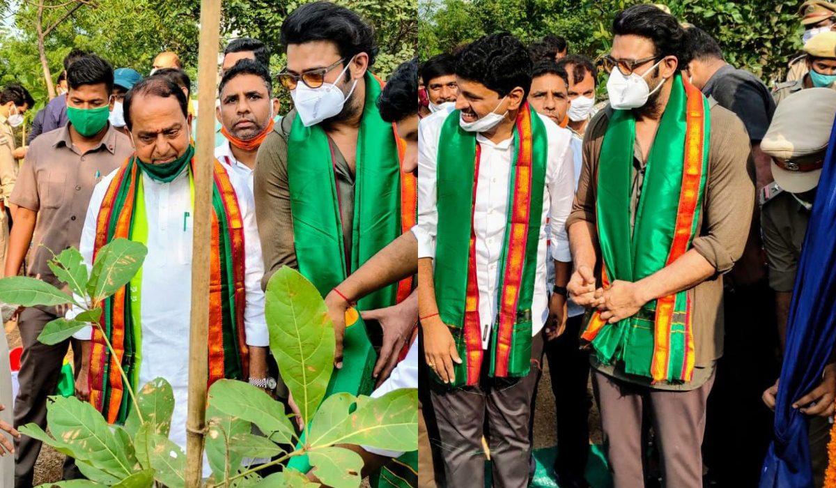 Prabhas Adopts Urban Forest Near Ringroad 