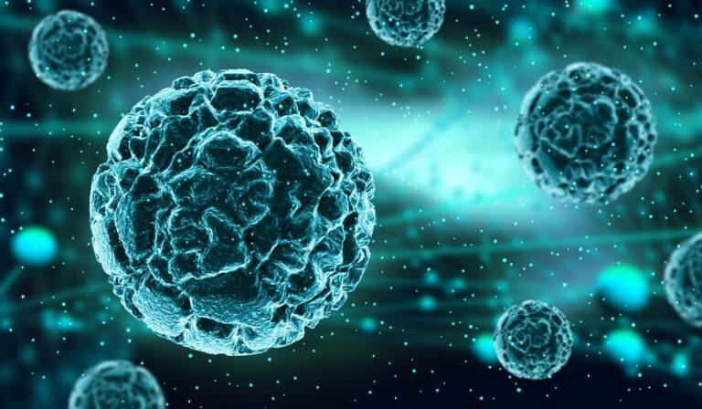 A New Mutated Coronavirus Surfaced in Europe - What To Worry and What Not To