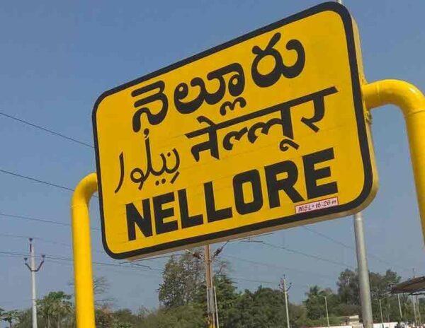 nellore