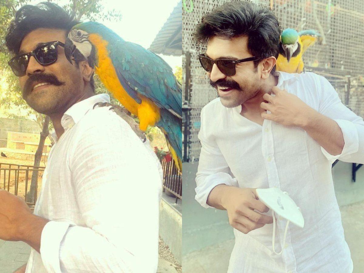 Ram Charan's Lovely Chemistry With Guest on Shoulder