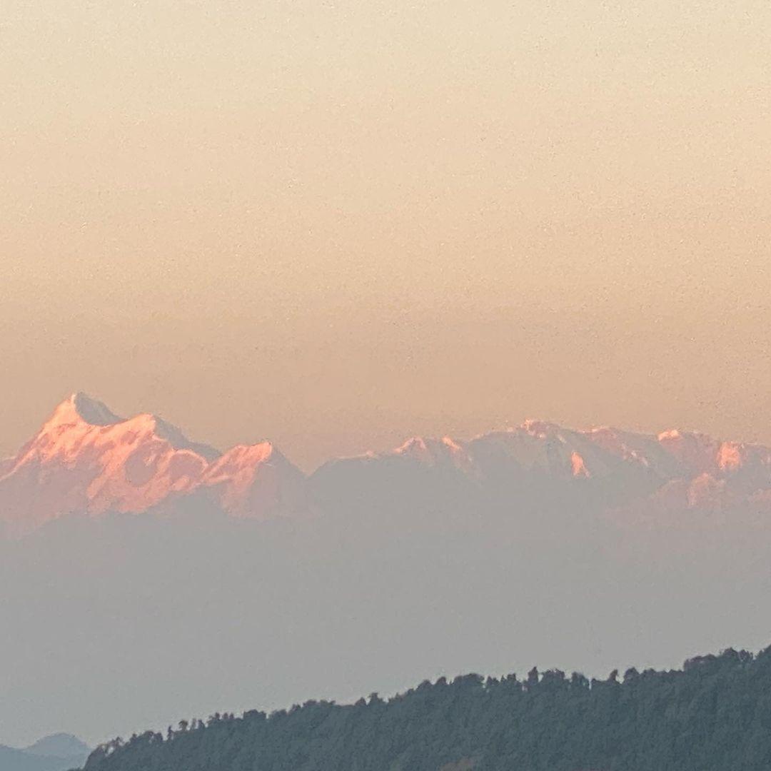 Nagarjuna Akkineni - Amala Akkineni- (5)