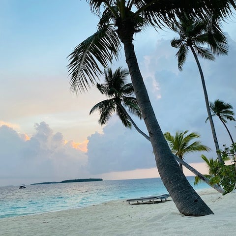 Nagarjuna Akkineni - Amala Akkineni- (5)