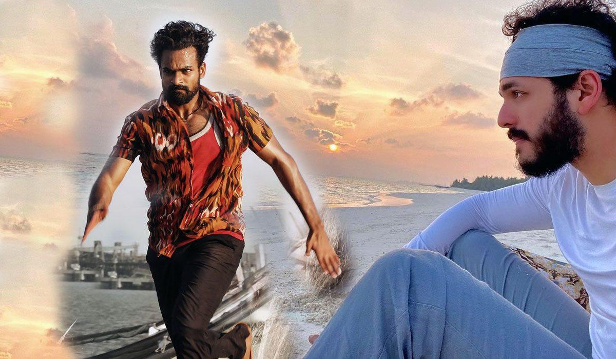 Uppena Posing Threat To Akkineni’s Record