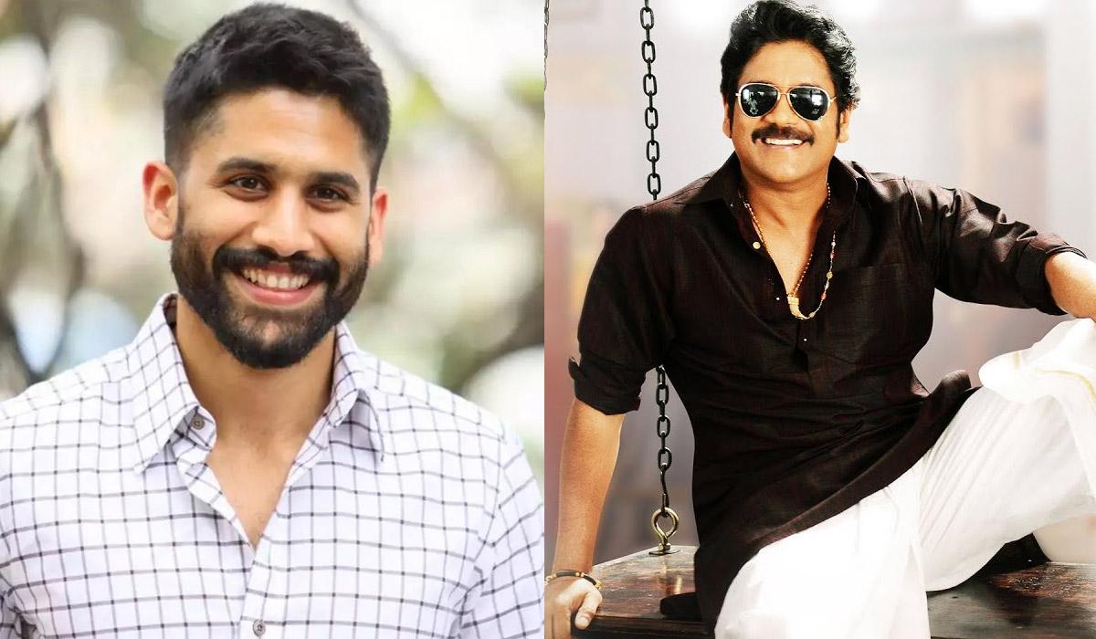 Naga Chaitanya Will Decide Bangarraju’s Fate?