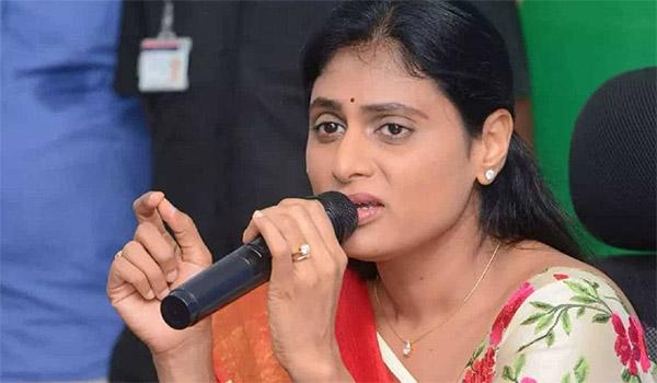 పవన్ కళ్యాణ్ కంటే మెరుగైన గ్రౌండ్ వర్క్ చేస్తున్న షర్మిల