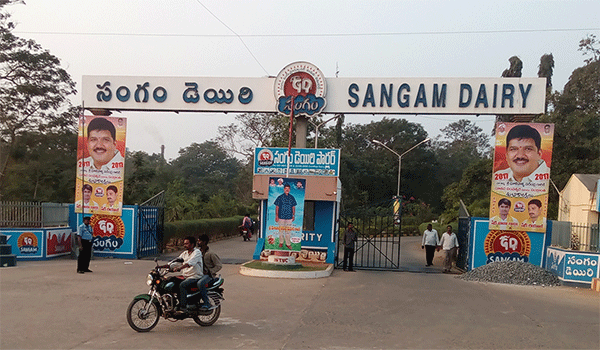 Sangam diary with a turnover of Rs 1000 crore