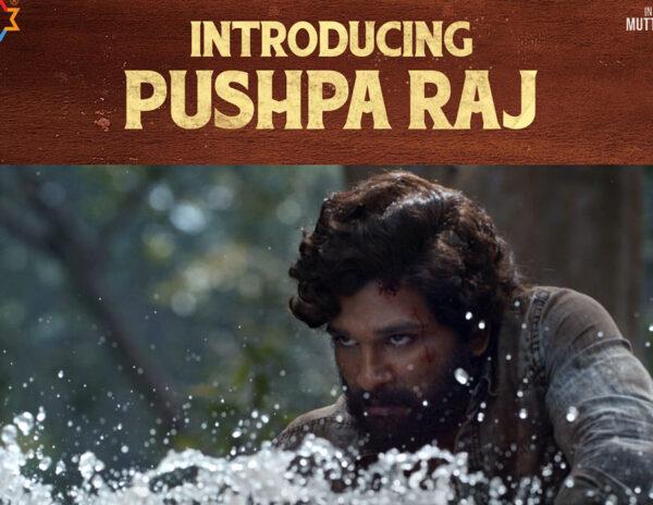 Allu Arjun Pushpa Teaser talk reactions online fans