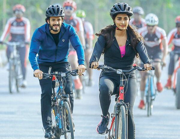 CKC, Wild Dog Results Worrying Akkineni Fans, Big time